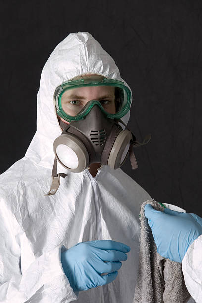 Professional Mold Removal in West Point, NE